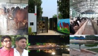 টিসিএল এগ্রো ও ডেইরি ফার্ম ‘এগ্রো রিসোর্ট’ হিসেবে তুলনীয়
